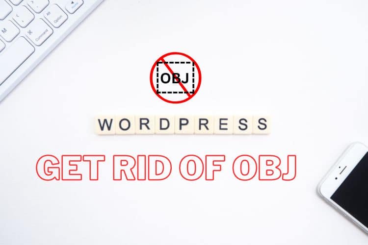 Get rid of OBJ in a box in wordpress website